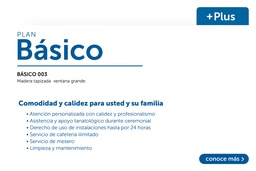 BÁSICO PLUS MENSUAL