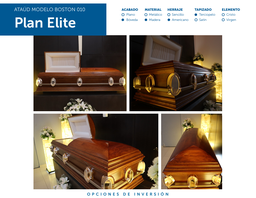 PLAN ELITE MENSUAL