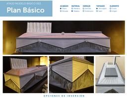 PLAN BÁSICO MENSUAL